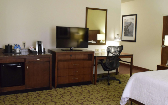 Hilton Garden Inn Rochester Downtown, NY