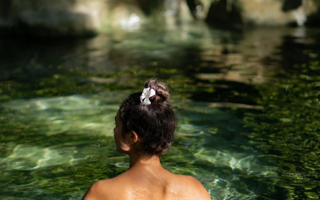 Wareerak Hot Spring & Wellness