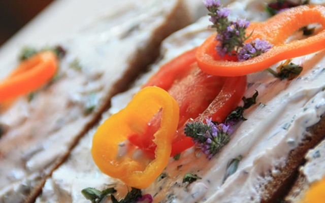 Gläserner Bauernhof