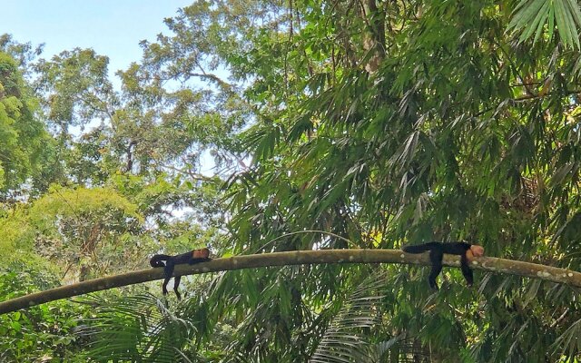 Hostel Cascada Verde