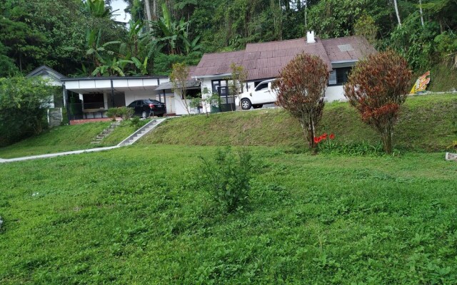 Farm Guest House - Hostel