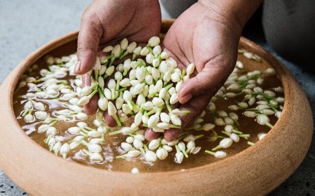 Treeline Urban Resort