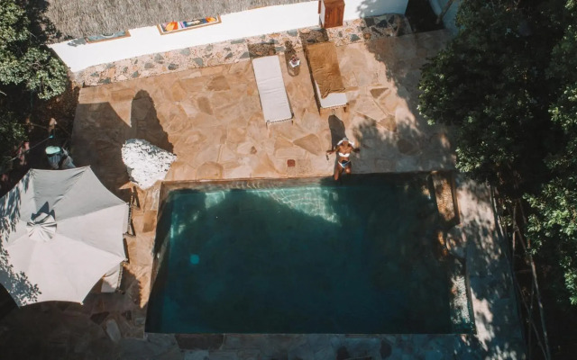 The Island - Pongwe Lodge - Adults Only