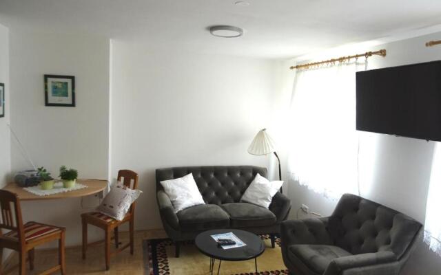 Homely Apartment in the Center with Garden View