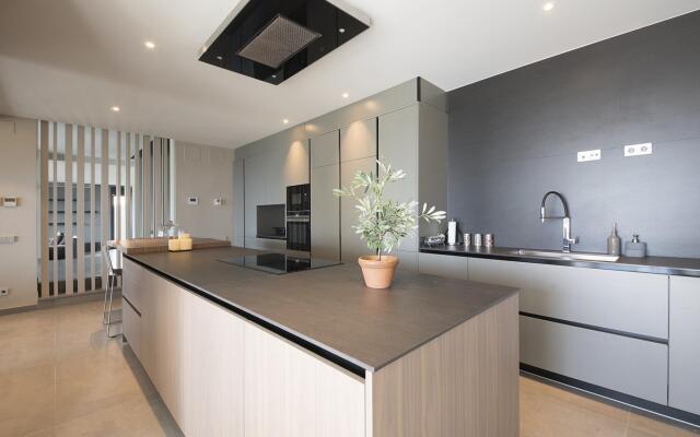 TH85-Limonium-9 in Tarragona