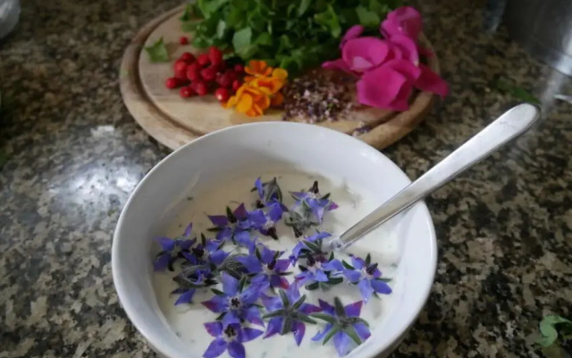 Holiday Apartment Wellness & Relaxation