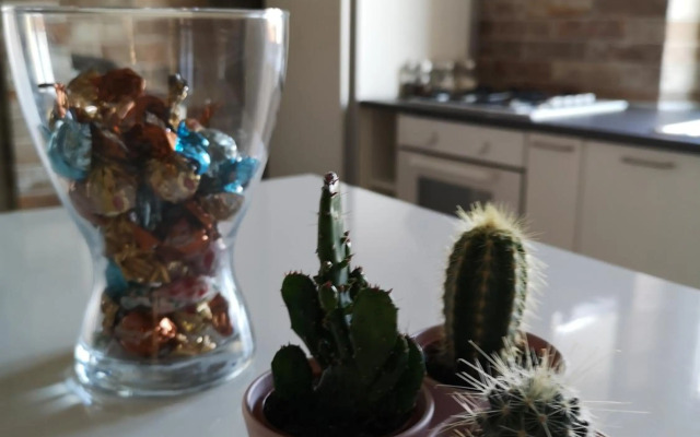 Queen East Verona apartments