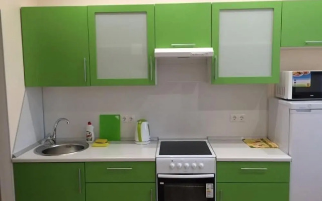 Apartment on Geologorazvedchikov 44a
