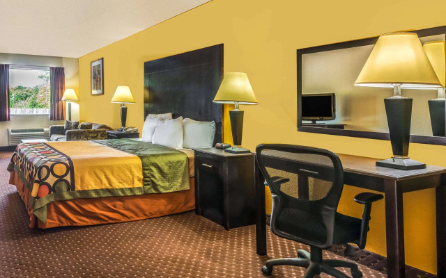 Hill Country Inn & Suites - New Braunfels / Gruene