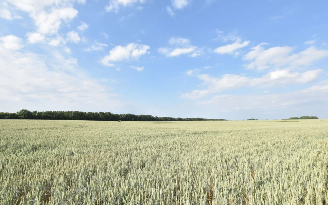 Spacious Holiday Home in Boiensdorf With Garden