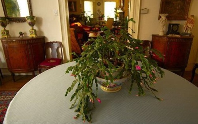 Burbridge St. B&B