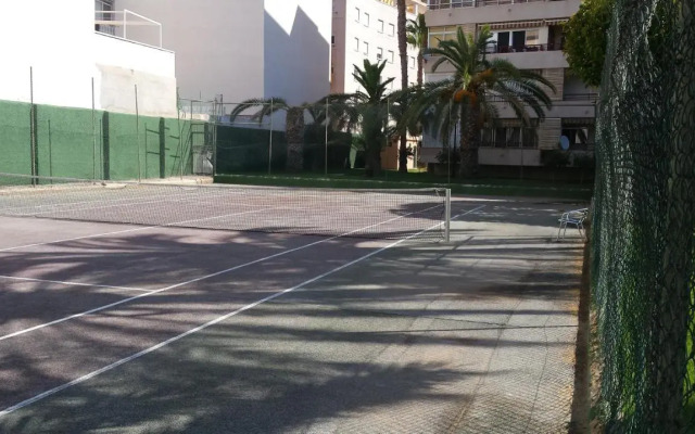 Palmeral de Torrevieja