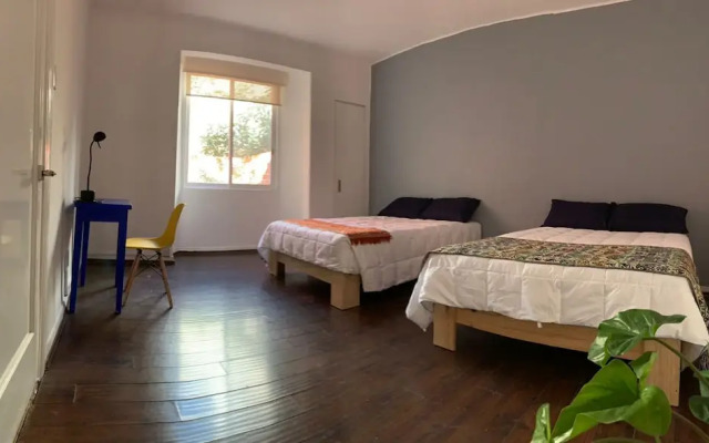 The Reef House Condesa
