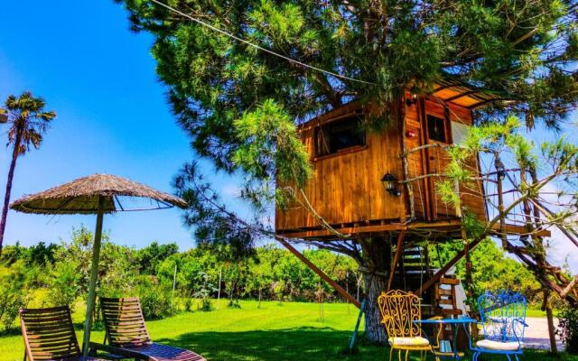 Ionian Treehouse Ecohosting Cuckoo's nest