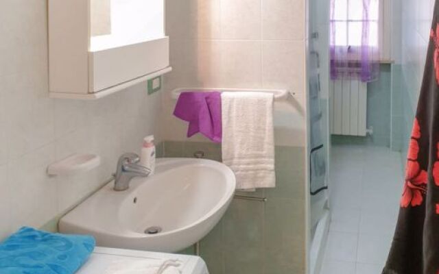 Green Marine. Palme. Ismare 17725