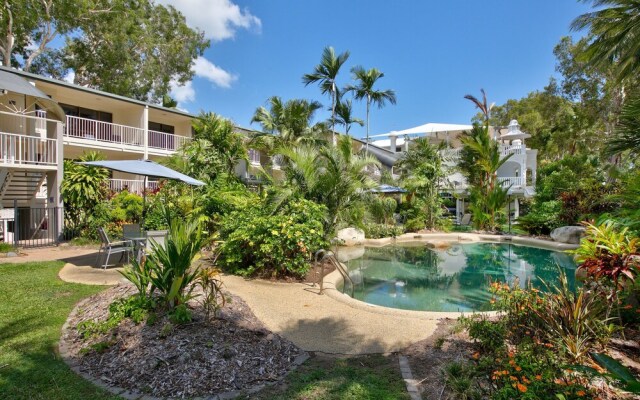 Turtle Dreaming in Palm Cove