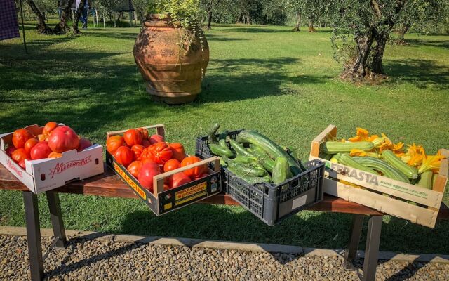 Renovated Farmhouse Near Florence