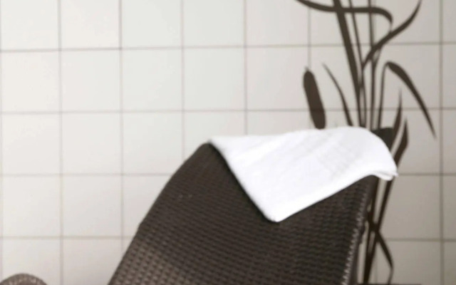 Sonnenhotel Feldberg am See