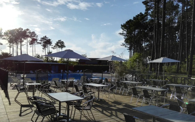 Les Pins D'Or