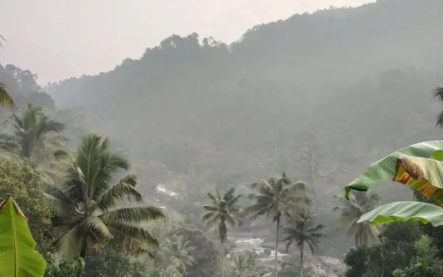 Thoppil Homestay Munnar