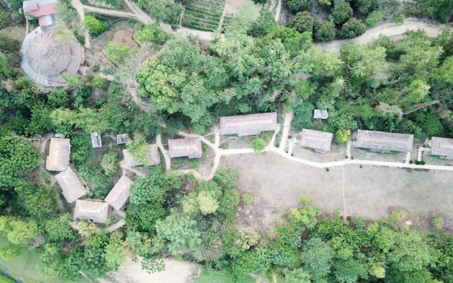 Temple Tiger Green Jungle Resort