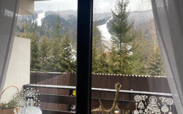 Ski View Studio - near the ski slopes