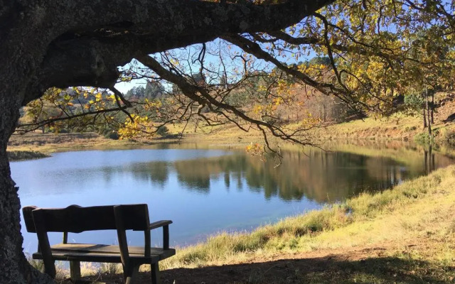 The Courtyard at La Loggia
