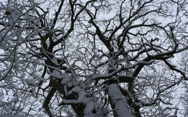 Traditional Apartment near Sea in Kühlungsborn