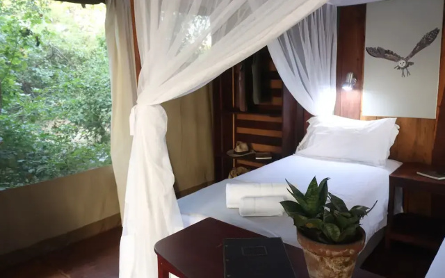 Camp Sabali & Safaris