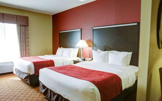 Comfort Suites Old Town Spring