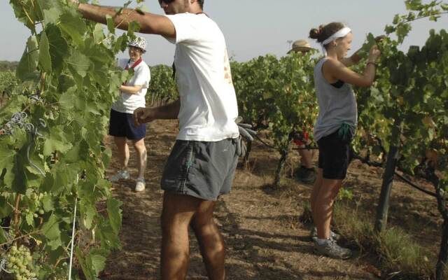 House in the countryside of Rome