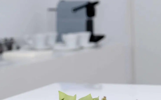 Valencia Lounge Flats