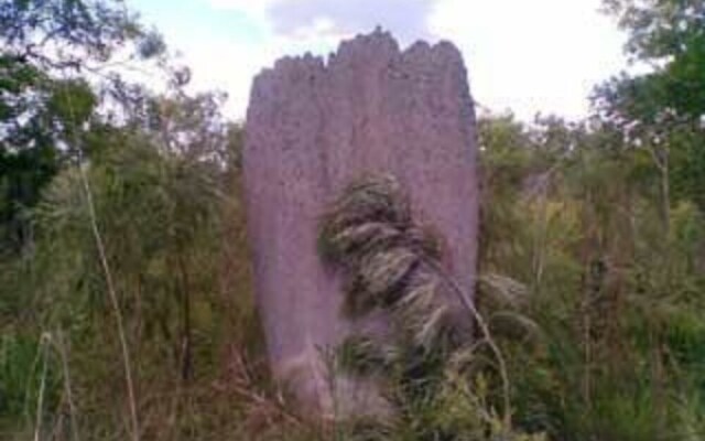 Chalets on Woodlands