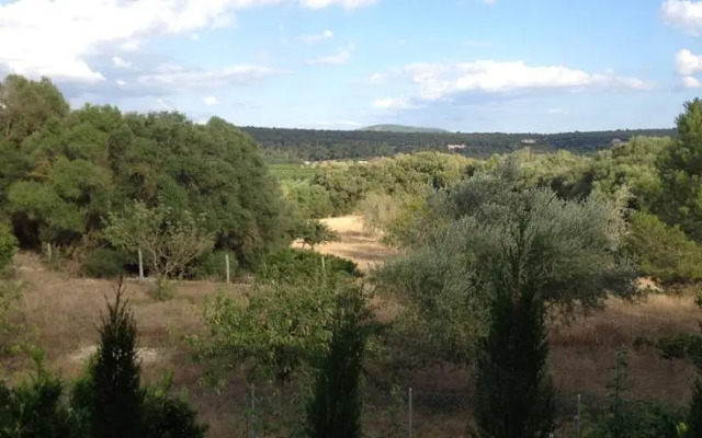 Ses Cases De Son Guillot