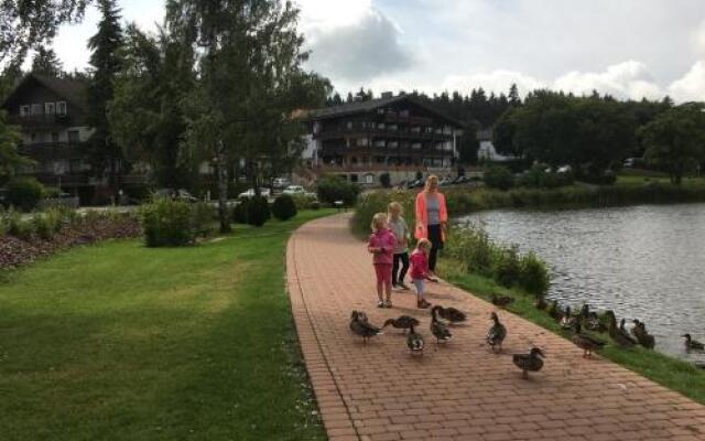 Fewo Andresen Hahnenklee