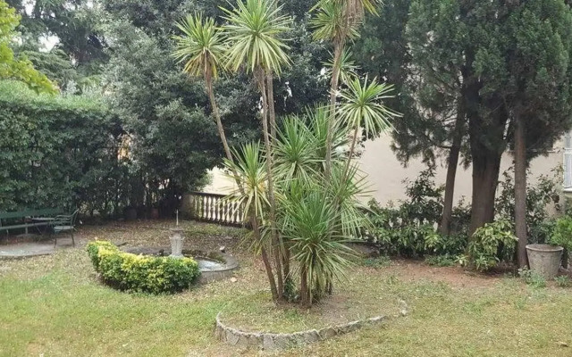 Garden Suite