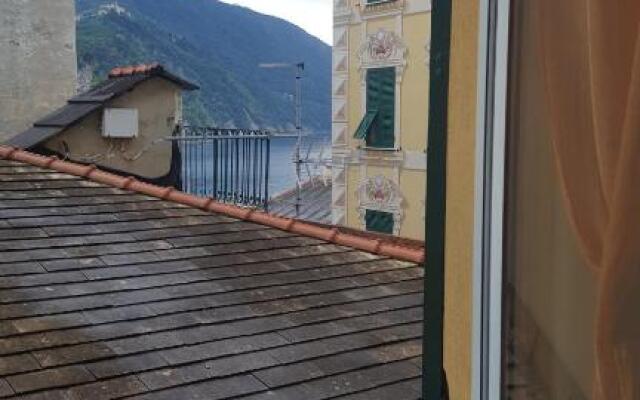 B&b Il pesce doro