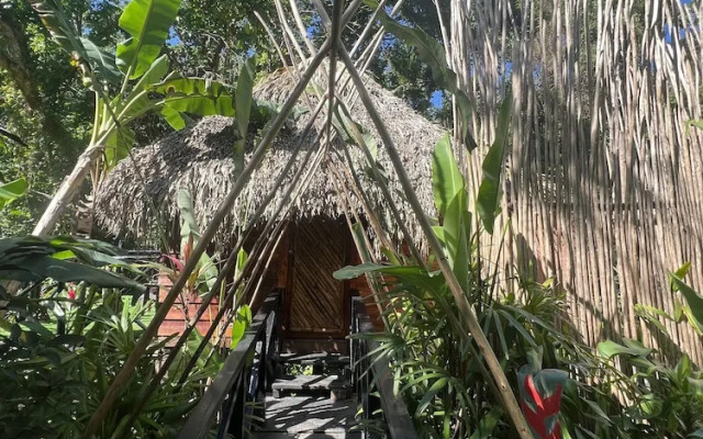 Sámana tropical