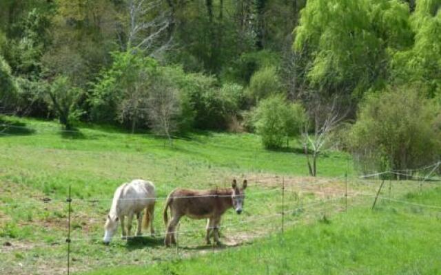 Chambre dHôtes les Buis