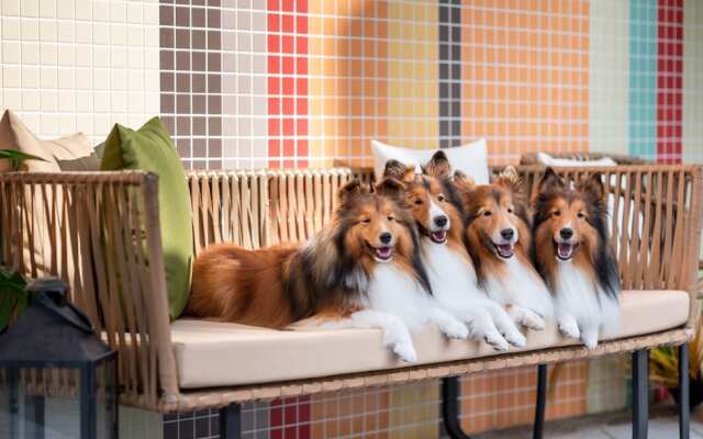 Pet Rainbow Maison Resort Hotel