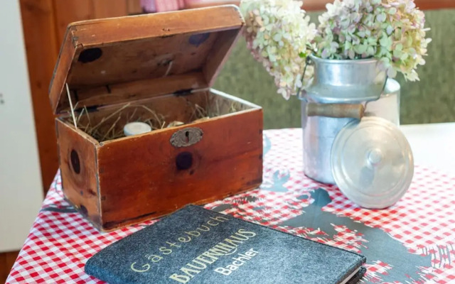 Rustic Farmhouse With Sauna in Bramberg
