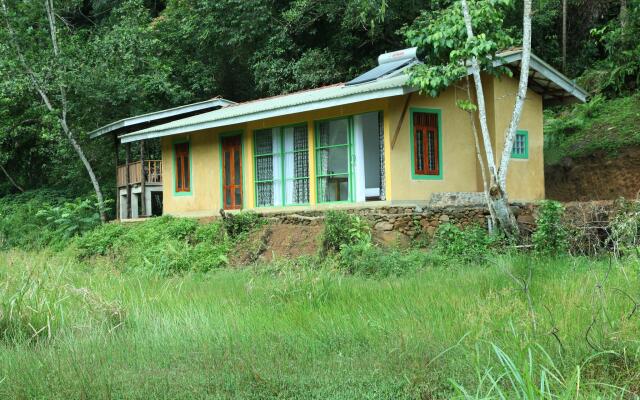 Sinharaja Forest Edge