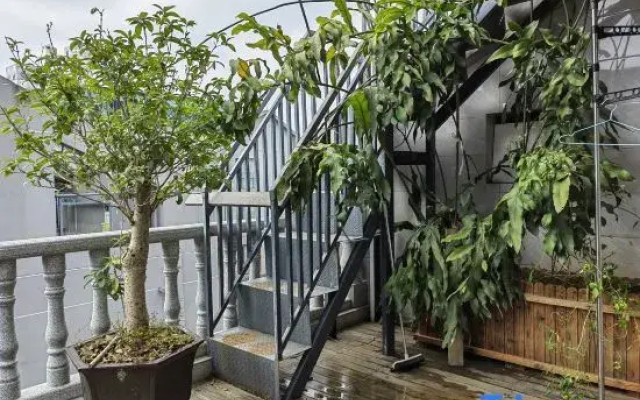 Jingpai Tea House and Inn