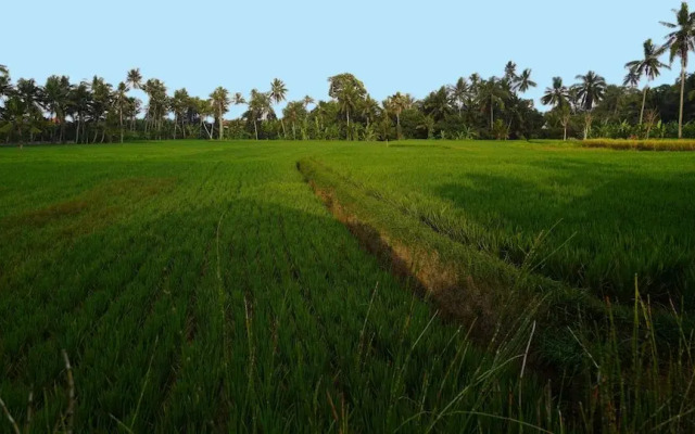 Sierra Vista 1 Ubud