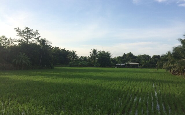 Golden Palm Resort