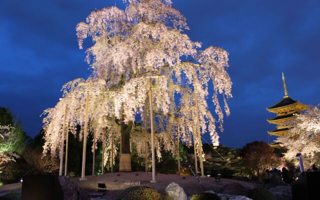 Stay SAKURA Kyoto Nijo Seasons