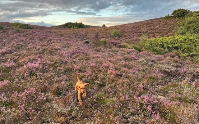 Migdale Heights - Luxury Cabins in The Highlands