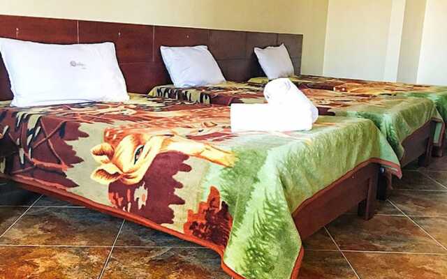 Modest Inn Limited