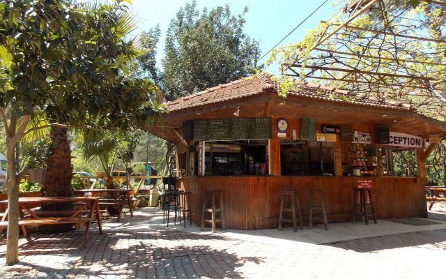 Olympos Orange