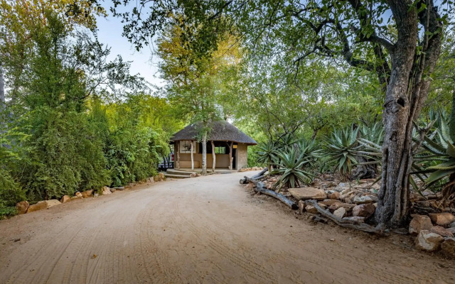 Umlani Bushcamp - Lodge